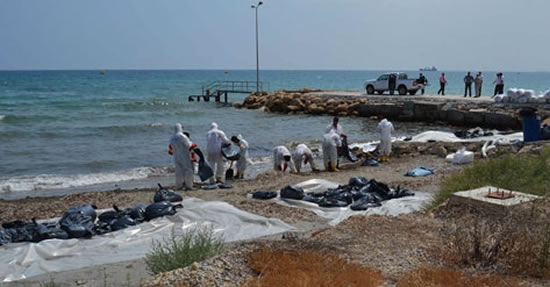 seagull_kktc.jpg seagull_kktc.jpg