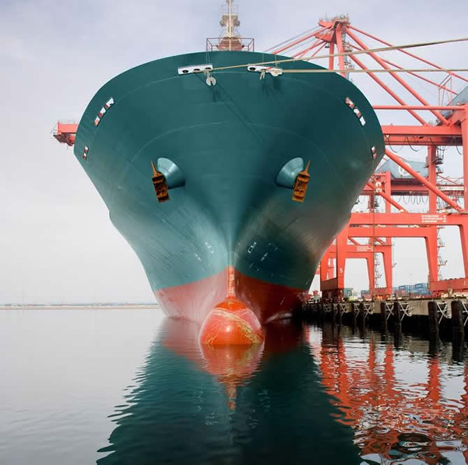 siyah_kugu1.jpg siyah_kugu1.jpg