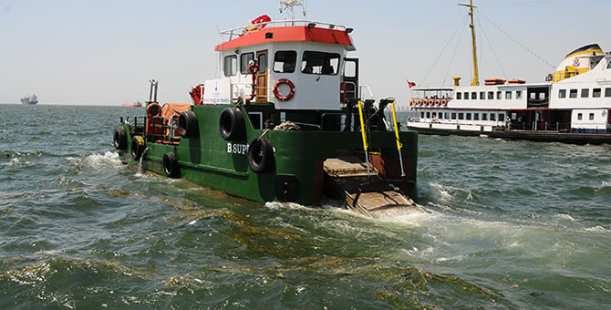 supurge_1.jpg supurge_1.jpg