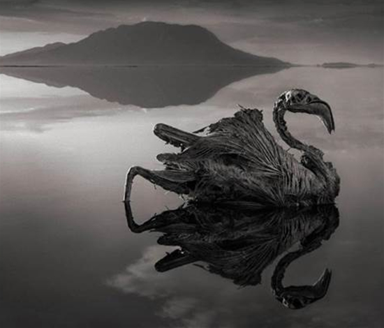 tas_gol.jpg tas_gol.jpg