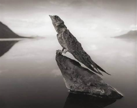 tas_gol.jpg1.jpg tas_gol.jpg1.jpg