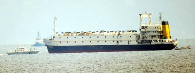 tayyip_1.jpg tayyip_1.jpg