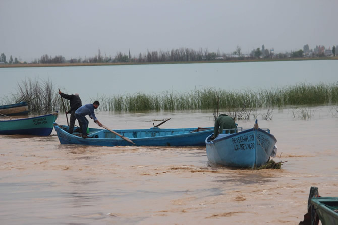 tekne-016.jpg tekne-016.jpg