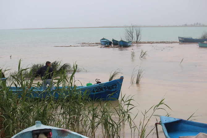 tekne1-020.jpg tekne1-020.jpg