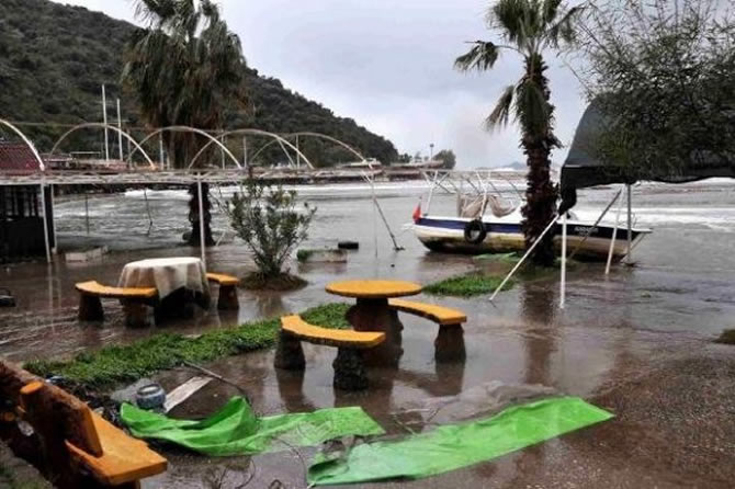 tekne2-015.jpg tekne2-015.jpg