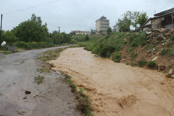 tekne2-018.jpg tekne2-018.jpg