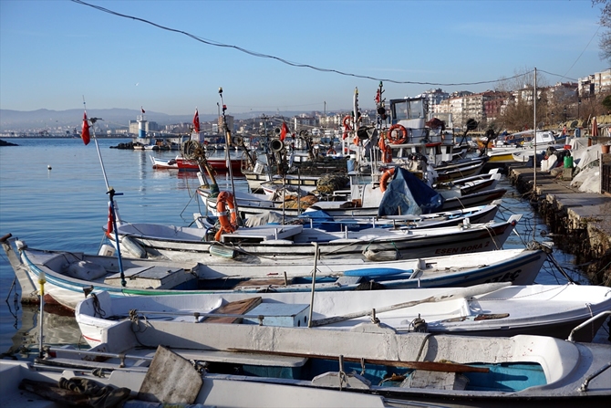 tekne3-020.jpg tekne3-020.jpg