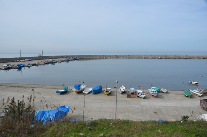 tekne4-008.jpg tekne4-008.jpg