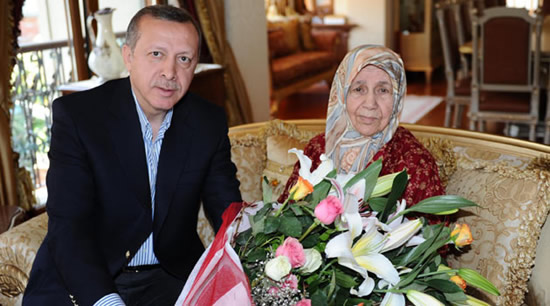 tenzile.jpg tenzile.jpg