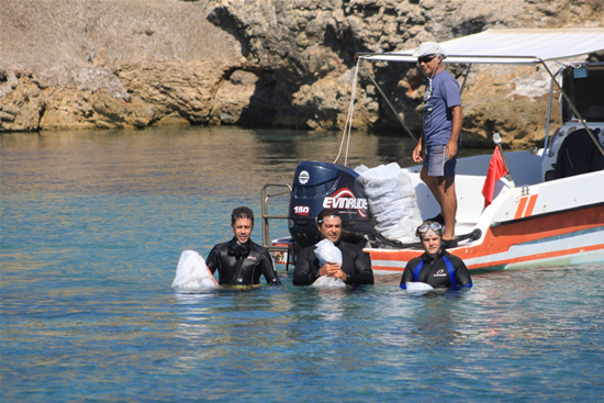 teos4.20120924135606.jpg