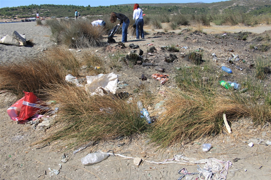 teos7.20120924135643.jpg