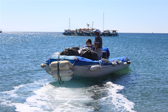 teos8.jpg
