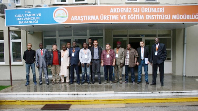 tika_1.jpg tika_1.jpg