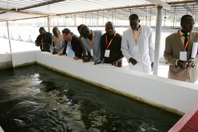 tika_2.jpg tika_2.jpg