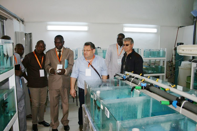 tika_3.jpg tika_3.jpg