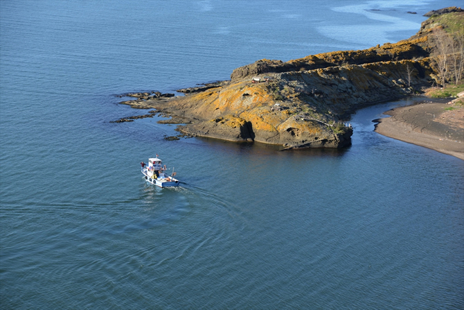 timsah-001.jpg timsah-001.jpg