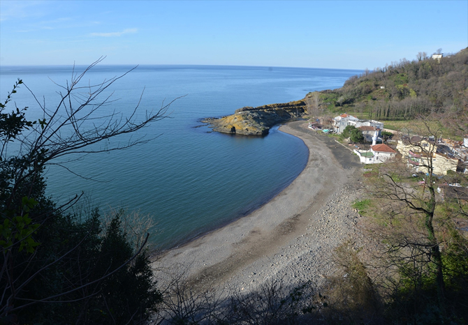 timsah1-001.jpg timsah1-001.jpg