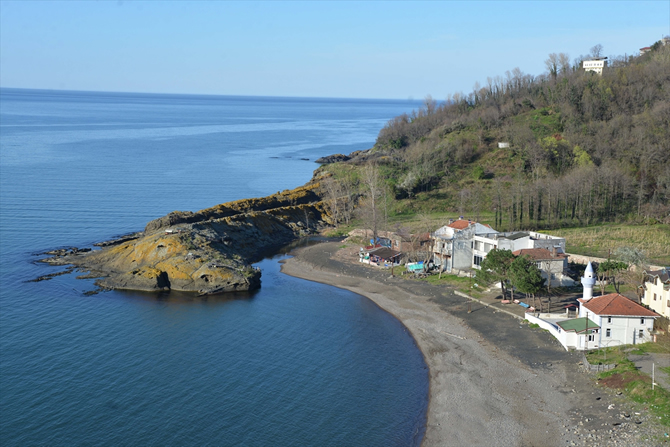 timsah2-001.jpg timsah2-001.jpg