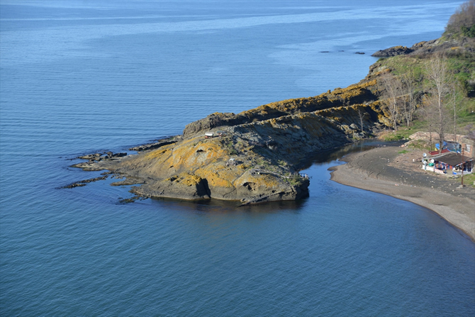 timsah3.jpg timsah3.jpg