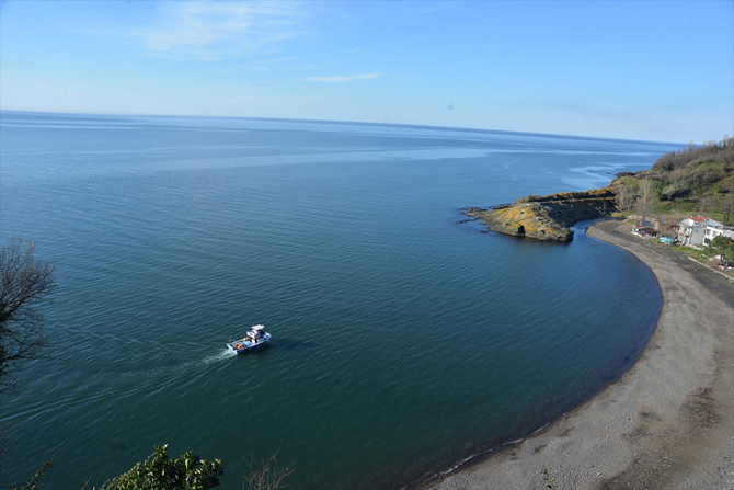 timsah4.jpg timsah4.jpg