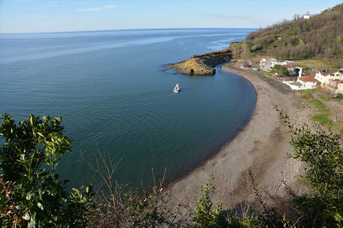 timsah5.jpg timsah5.jpg