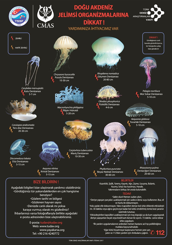 tudav-denizanalari-ile-ilgili-bir-poster-hazirladi.jpg