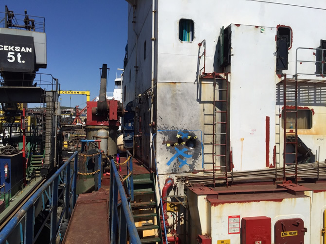 tuna_3.jpg tuna_3.jpg