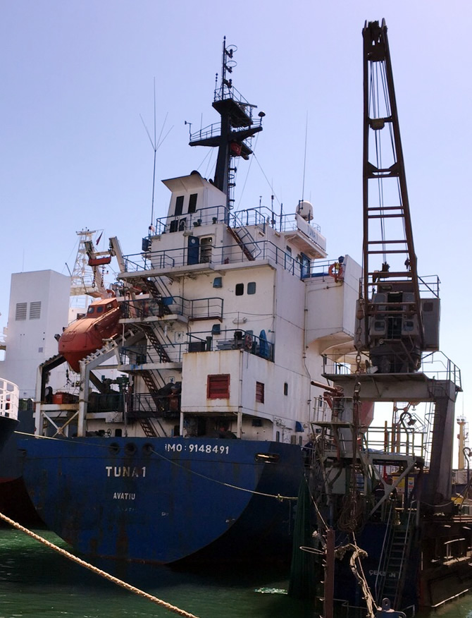 tuna_5.jpg tuna_5.jpg