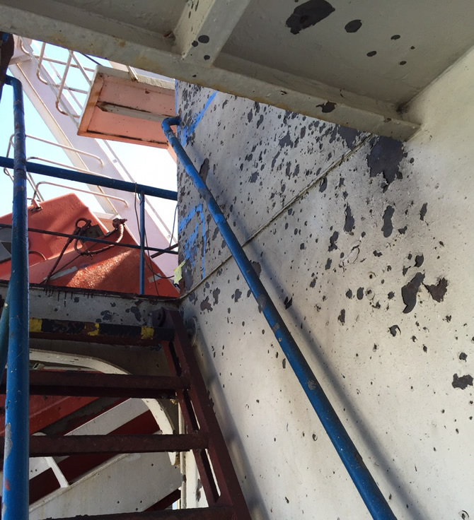 tuna_7.jpg tuna_7.jpg