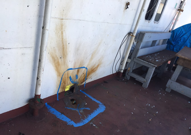 tuna_8.jpg tuna_8.jpg