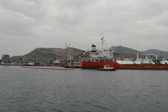 uzmar6.20121126143634.jpg