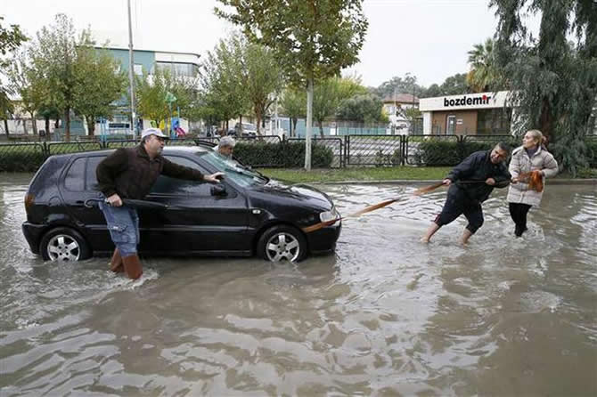 yagis2.jpg yagis2.jpg