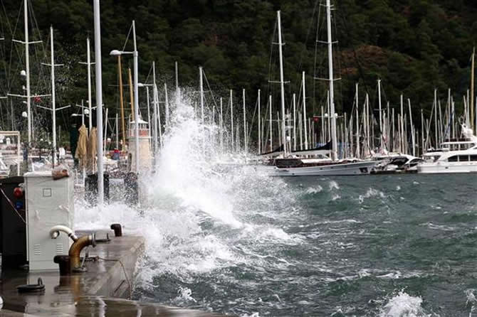 yagis4.jpg yagis4.jpg