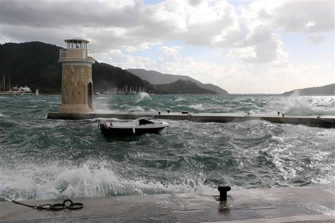 yagis5.jpg yagis5.jpg