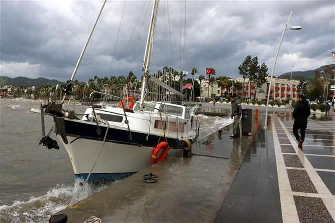 yagis6.jpg yagis6.jpg