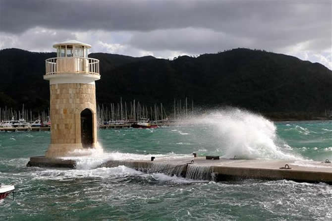 yagis7.jpg yagis7.jpg