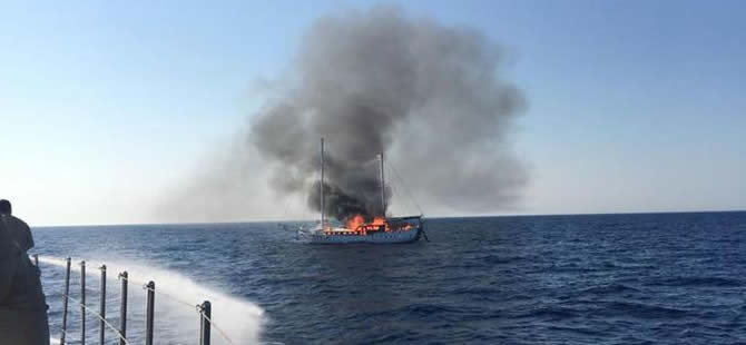 yagn-1.jpg yagn-1.jpg