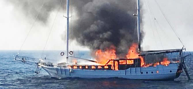 yangn2.jpg yangn2.jpg