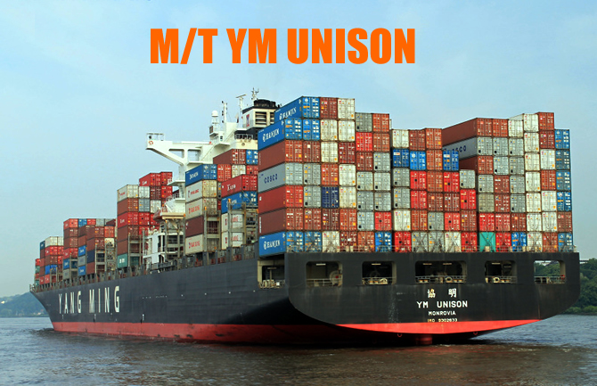 ym_unison.jpg