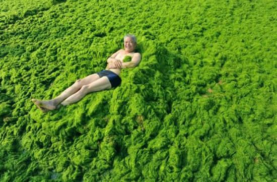 yosun1.jpg yosun1.jpg