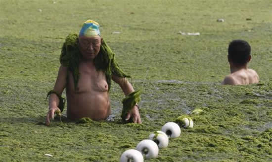 yosun11.jpg yosun11.jpg