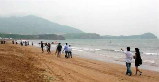 yosun12.jpg yosun12.jpg