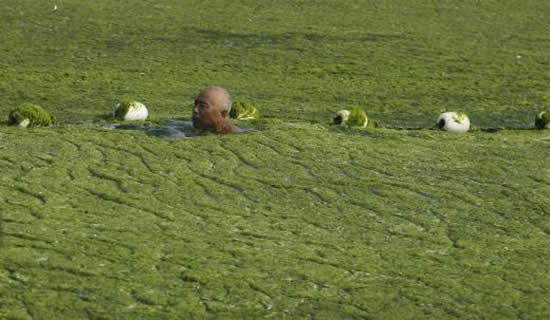 yosun15.jpg yosun15.jpg