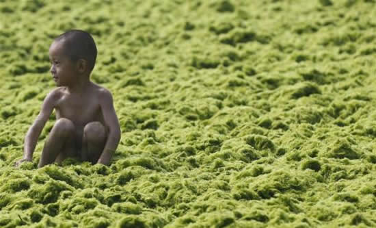 yosun16.jpg yosun16.jpg