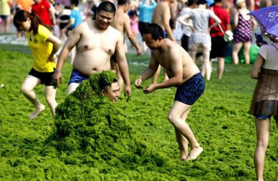 yosun2.jpg yosun2.jpg