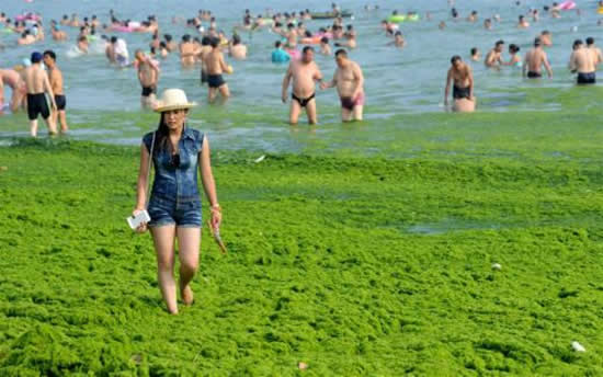 yosun4.jpg yosun4.jpg