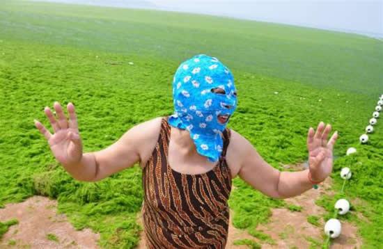 yosun8.jpg yosun8.jpg