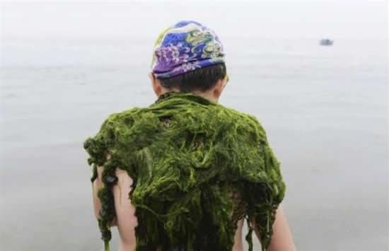 yosun9.jpg yosun9.jpg