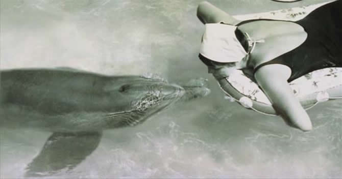 yunus-001.jpg yunus-001.jpg