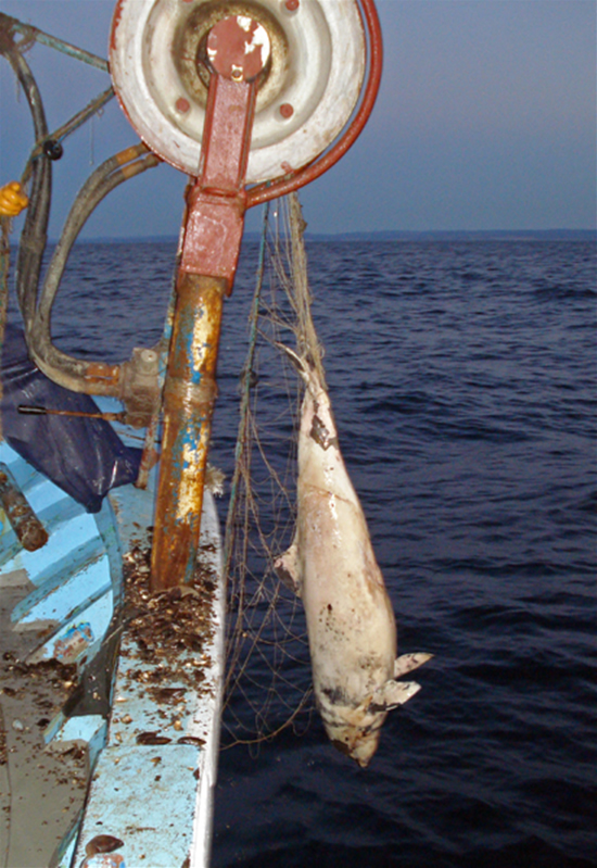 yunus.20131002124946.jpg